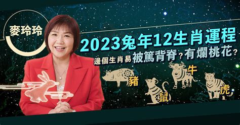 2023風水佈局麥玲玲|【兔年風水運程】兔年要點揀年花、地氈？麥玲玲師父教擺家居九。